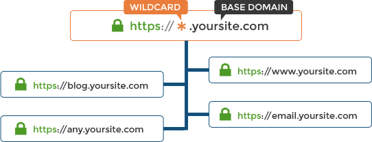 Wildcard SSL Certificate Preview