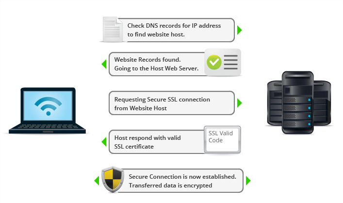 SSL Working Process