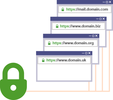 Multi-Domain SSL Certificate Preview